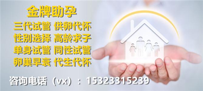 上海正规试管供卵公司【上海正规试管供卵公司:专业助力生育的首选机构】