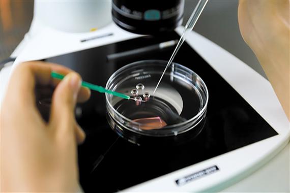 上海供卵试管生男孩-上海供卵试管生男孩:实现家庭梦想的最佳选择