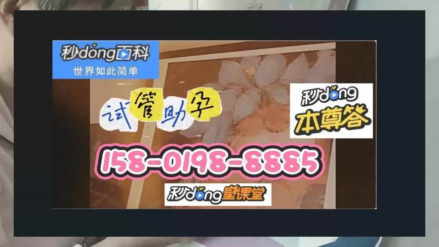 上海供卵试管价格表_上海供卵试管价格表及相关信息
